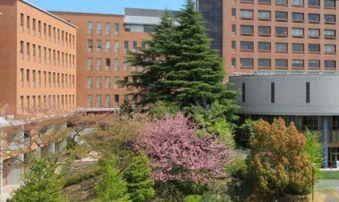 明海大学