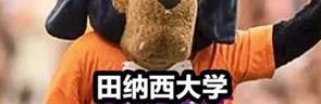 田纳西大学