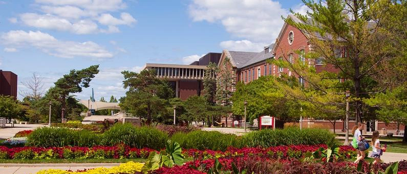 伊利诺伊大学