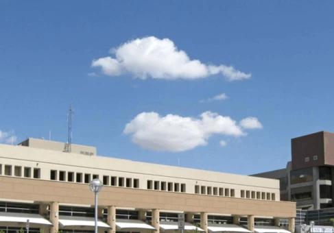 新墨西哥大学