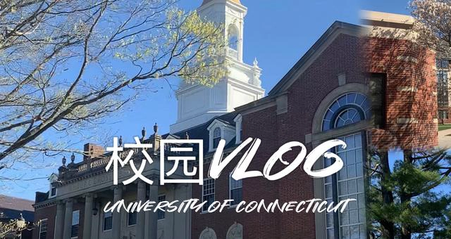 康涅狄格大学