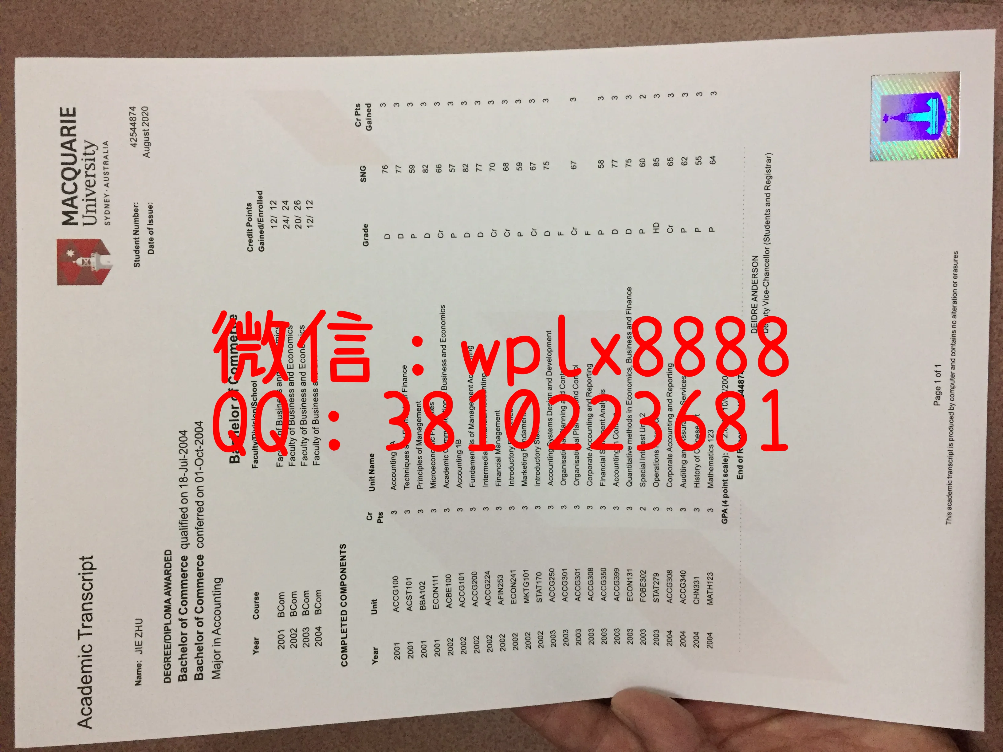 麦考瑞大学