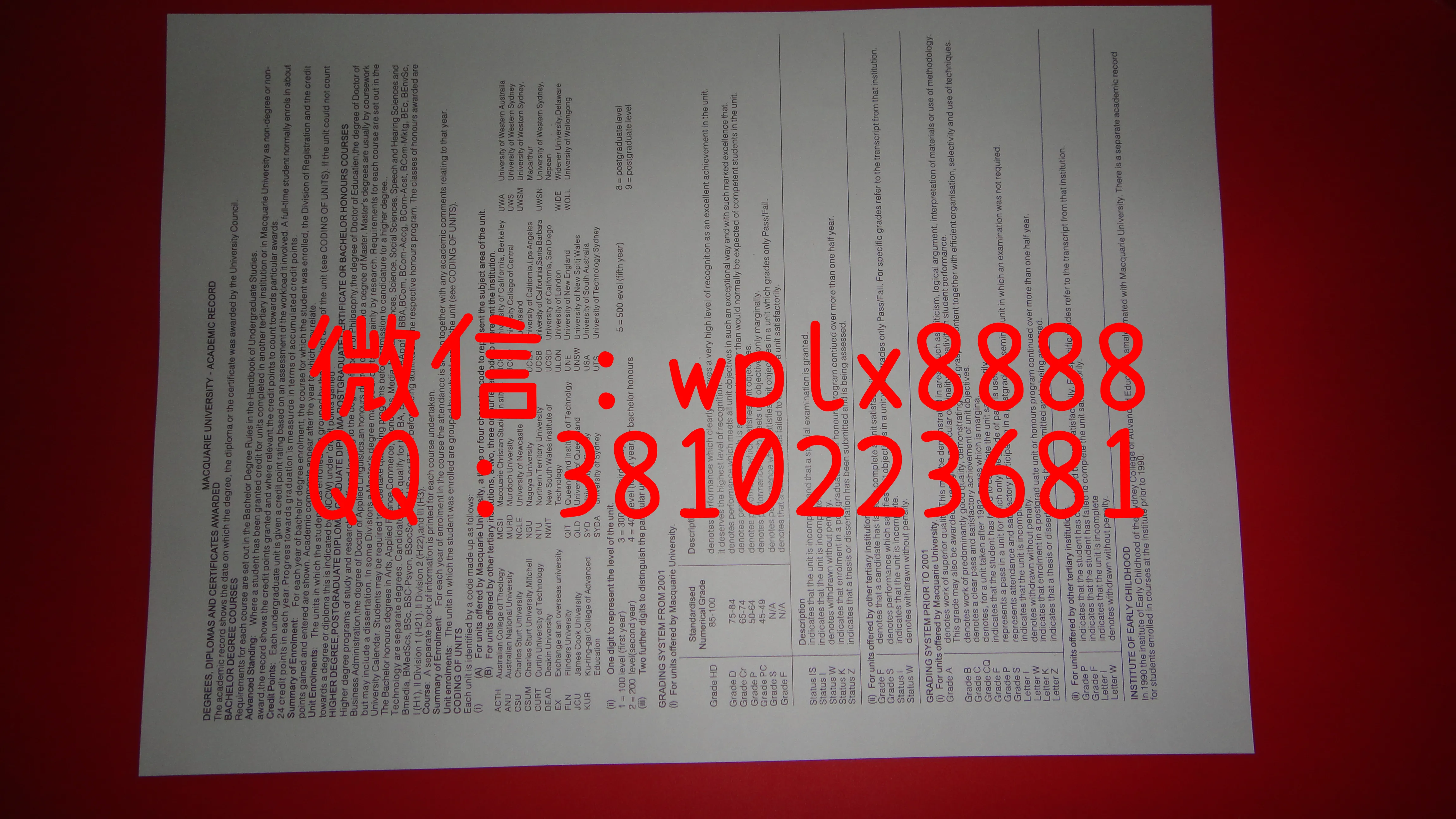 麦考瑞大学