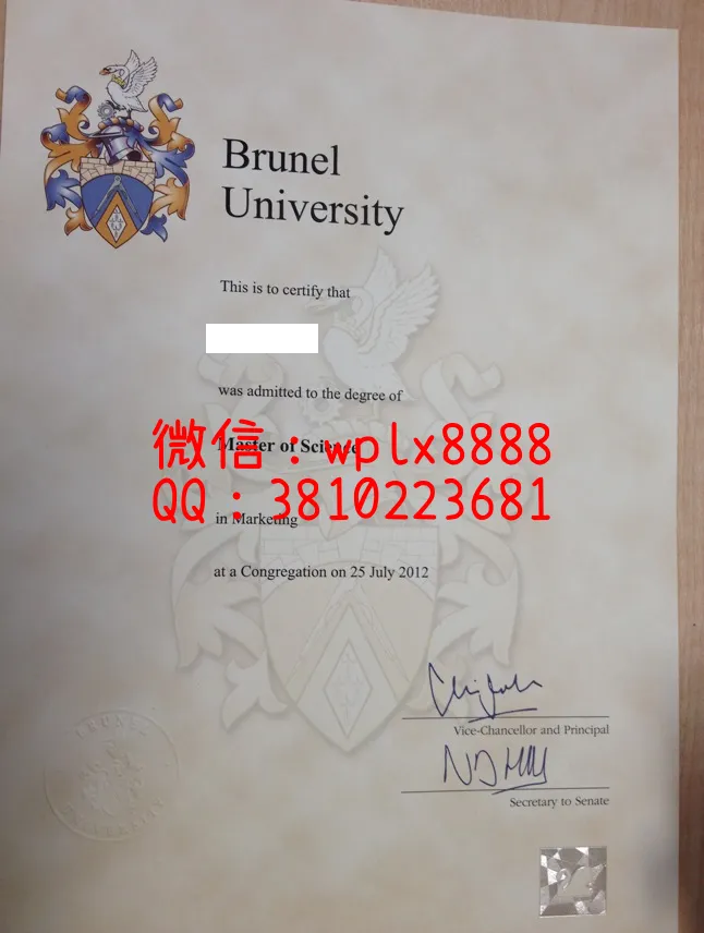 布鲁内尔大学