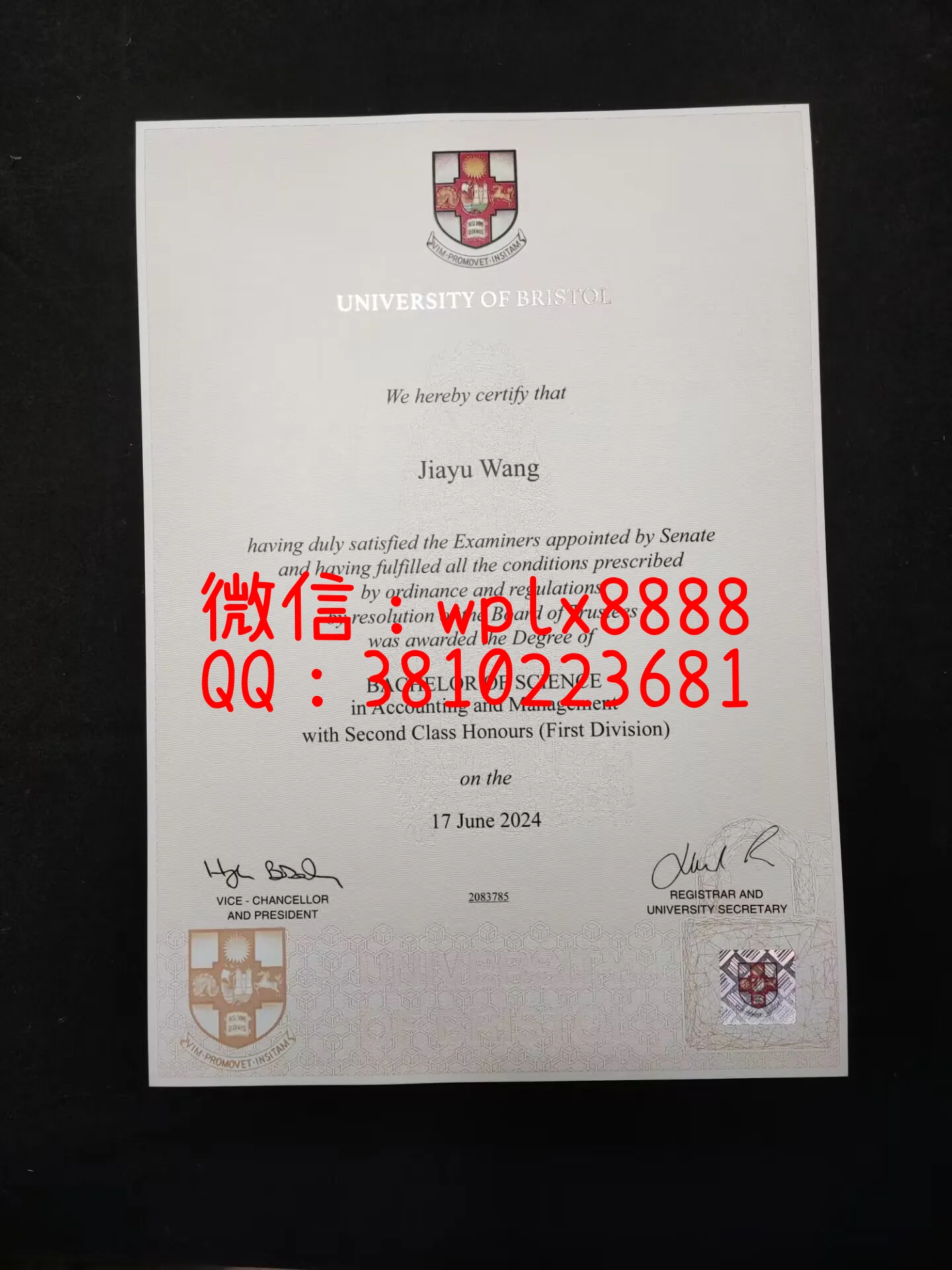 布里斯托大学