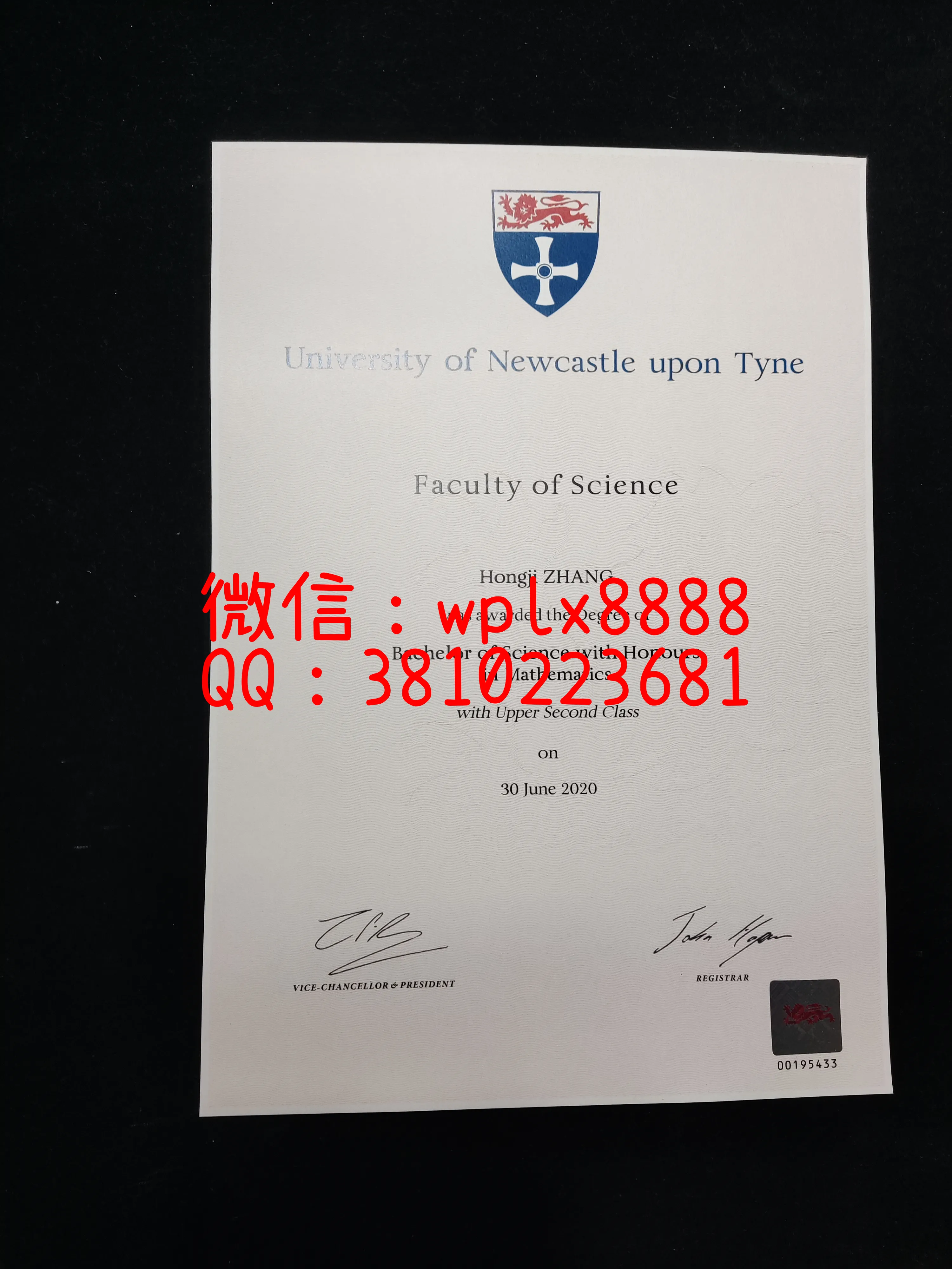 纽卡斯尔大学