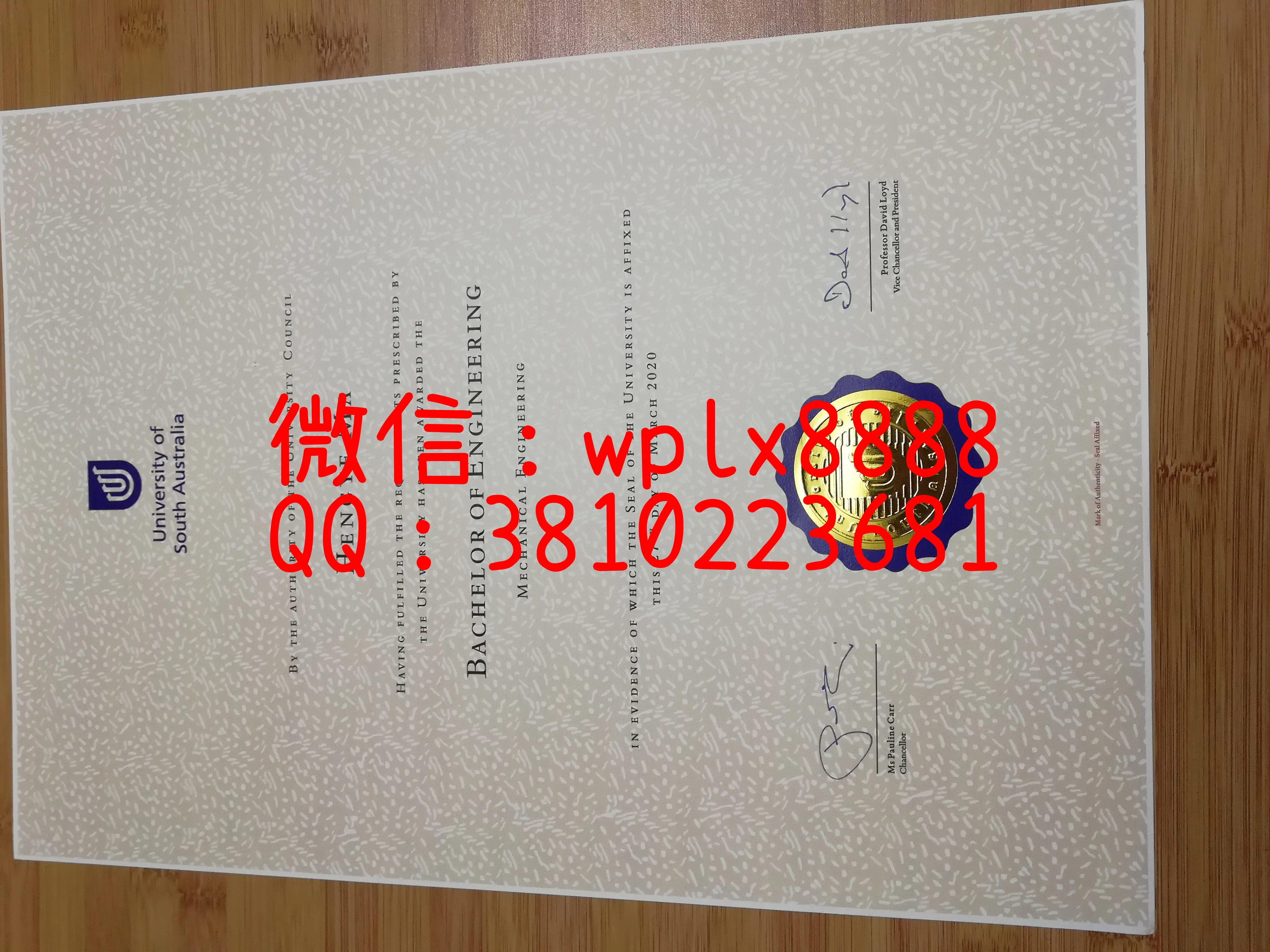 南澳大学