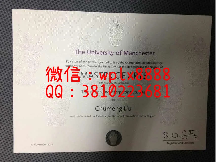 曼彻斯特大学