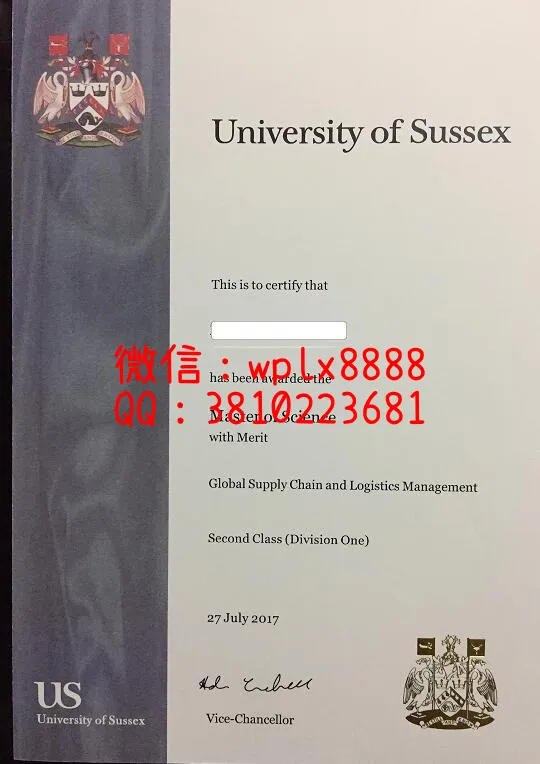 萨塞克斯大学