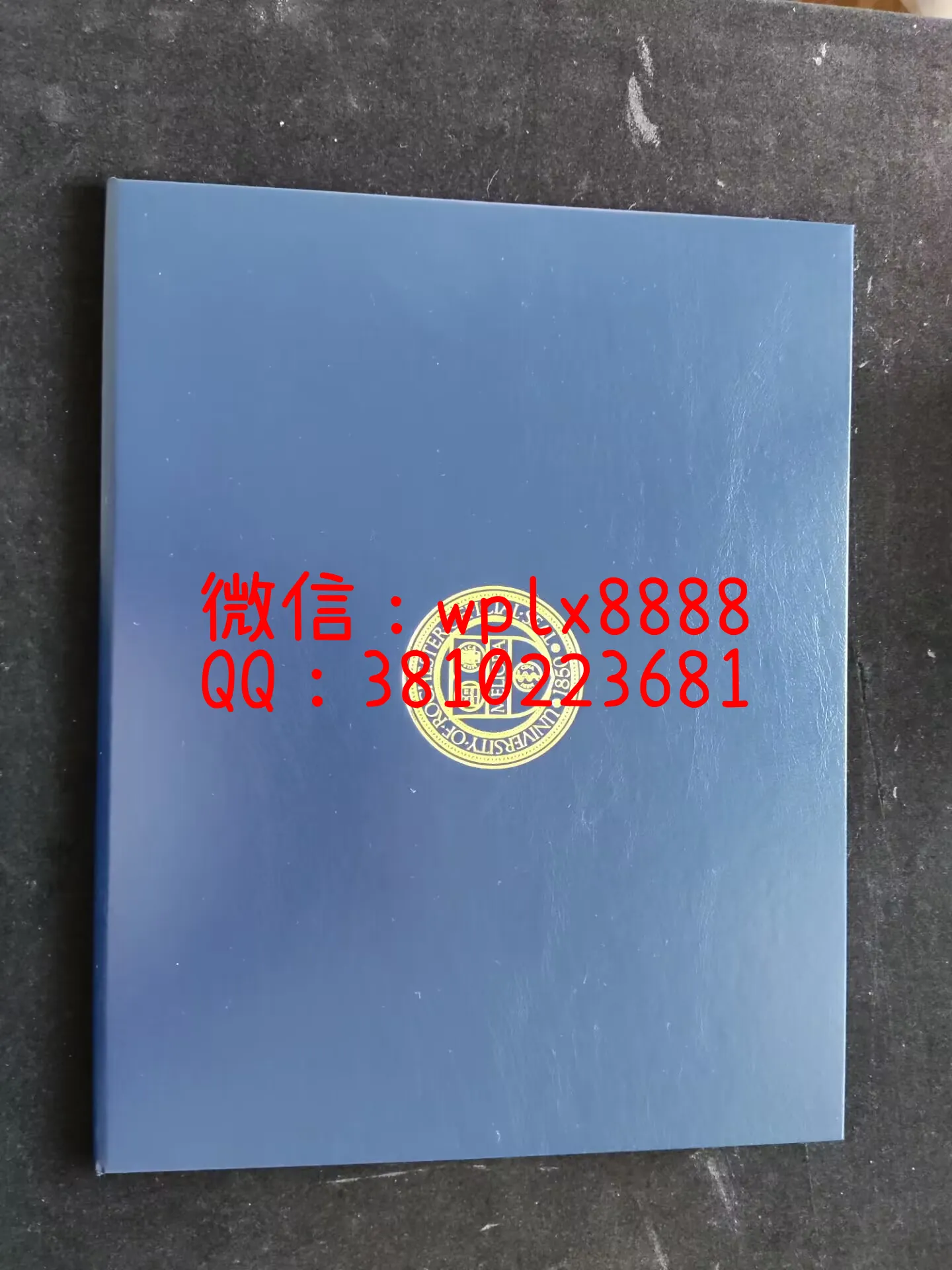 曼彻斯特大学