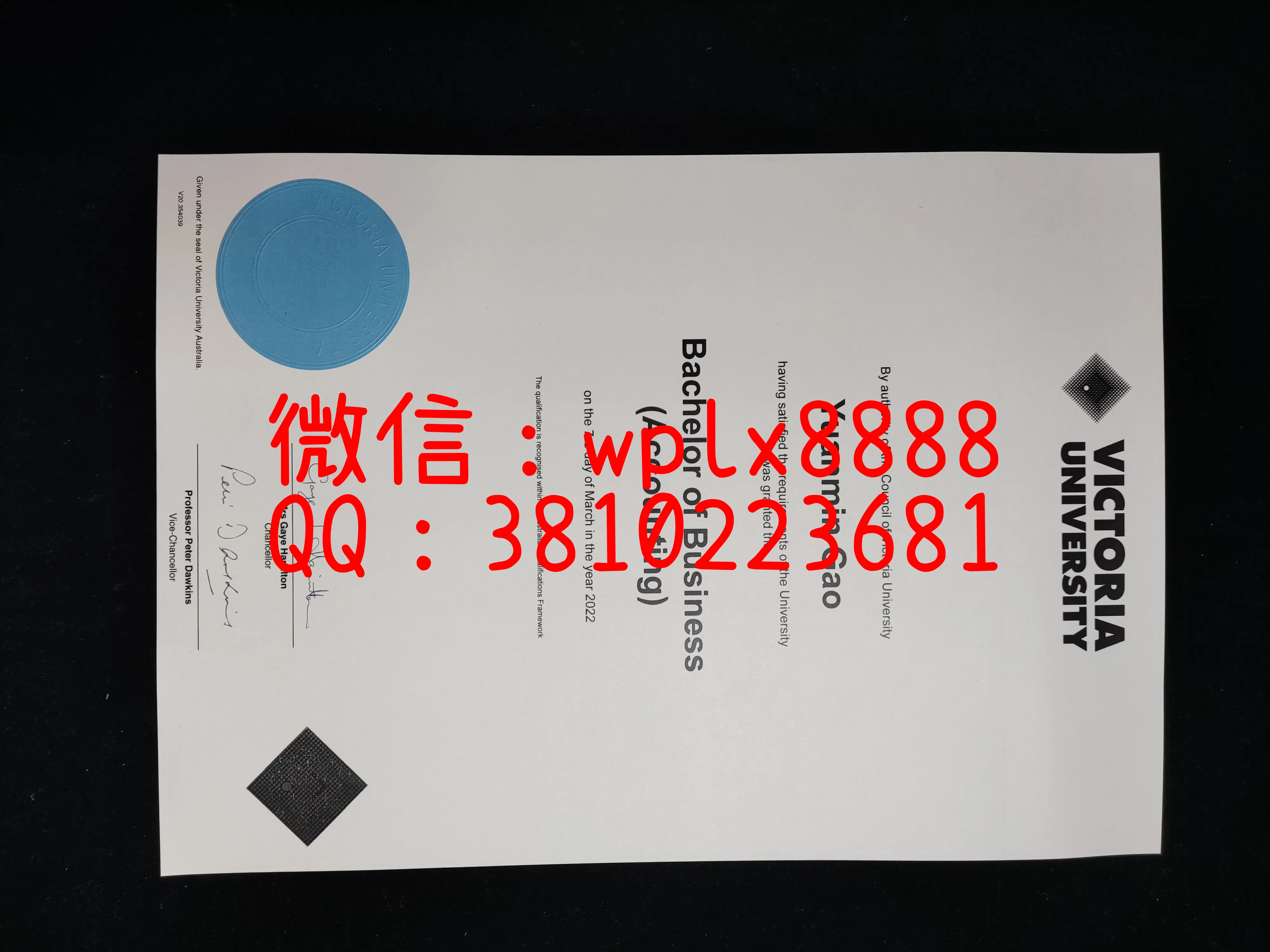 维多利亚大学