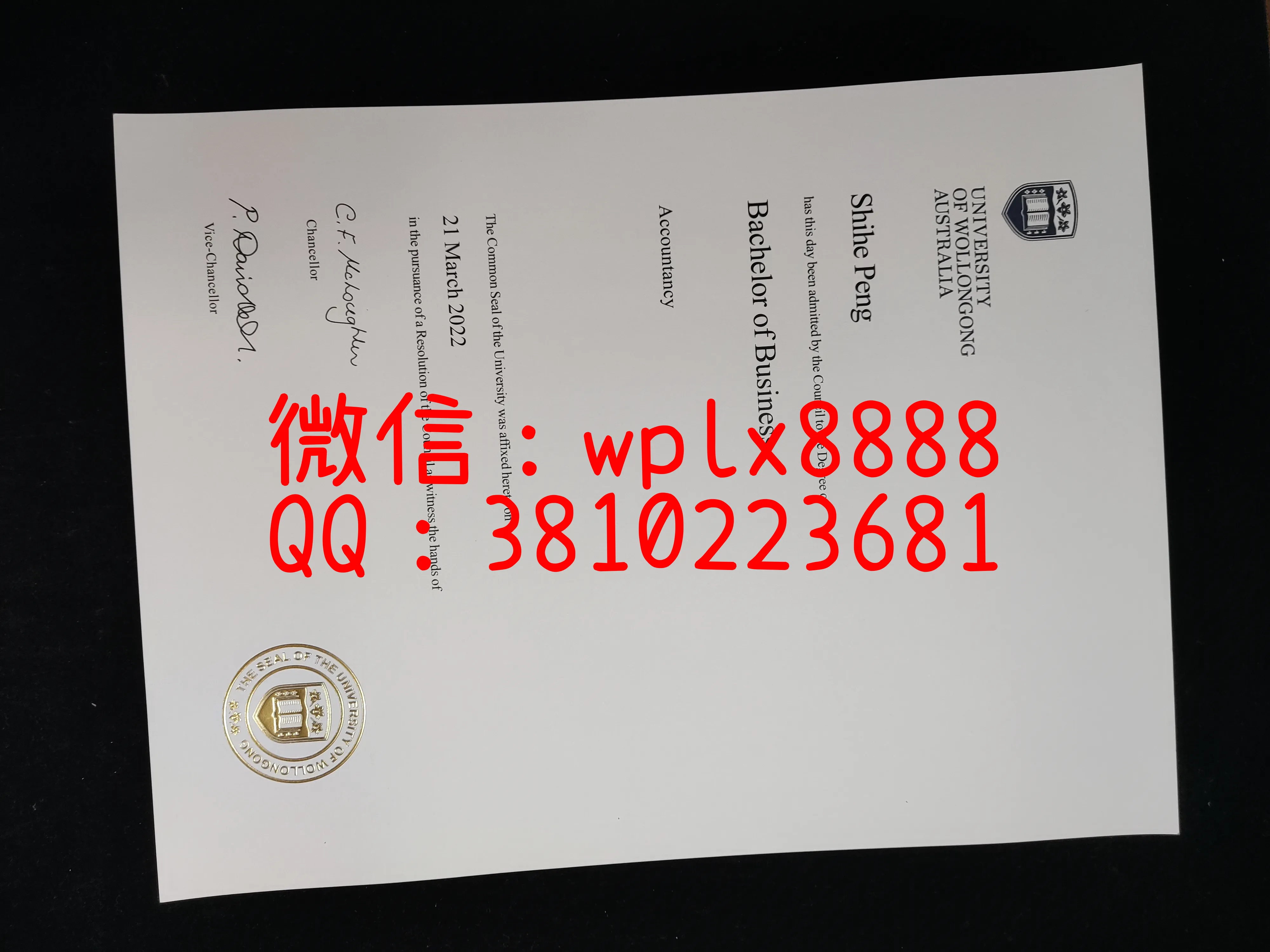 伍伦贡大学