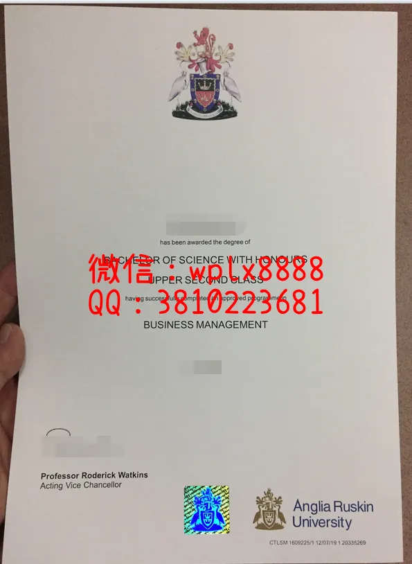 安格里亚鲁斯金大学