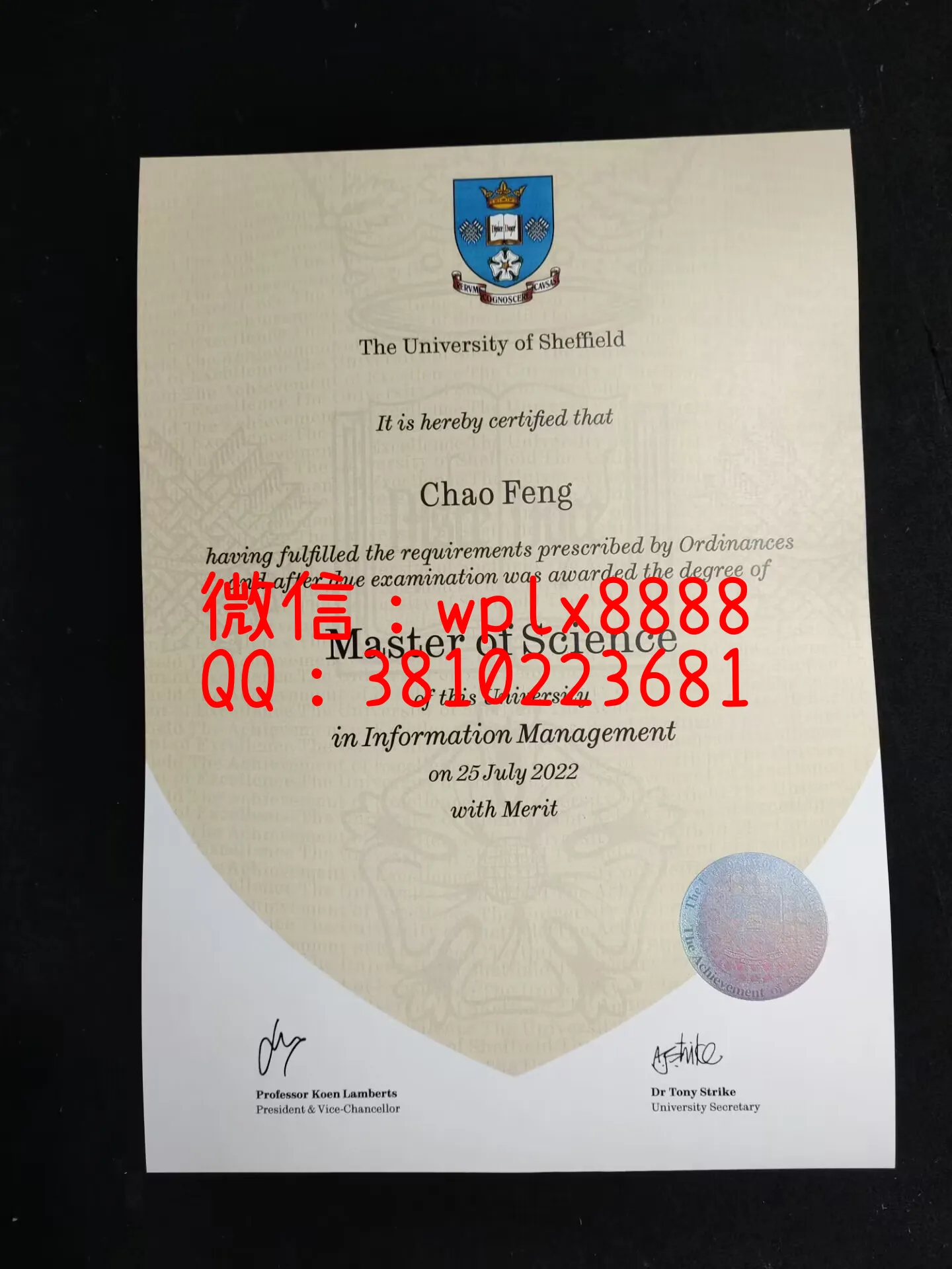 谢菲尔德大学