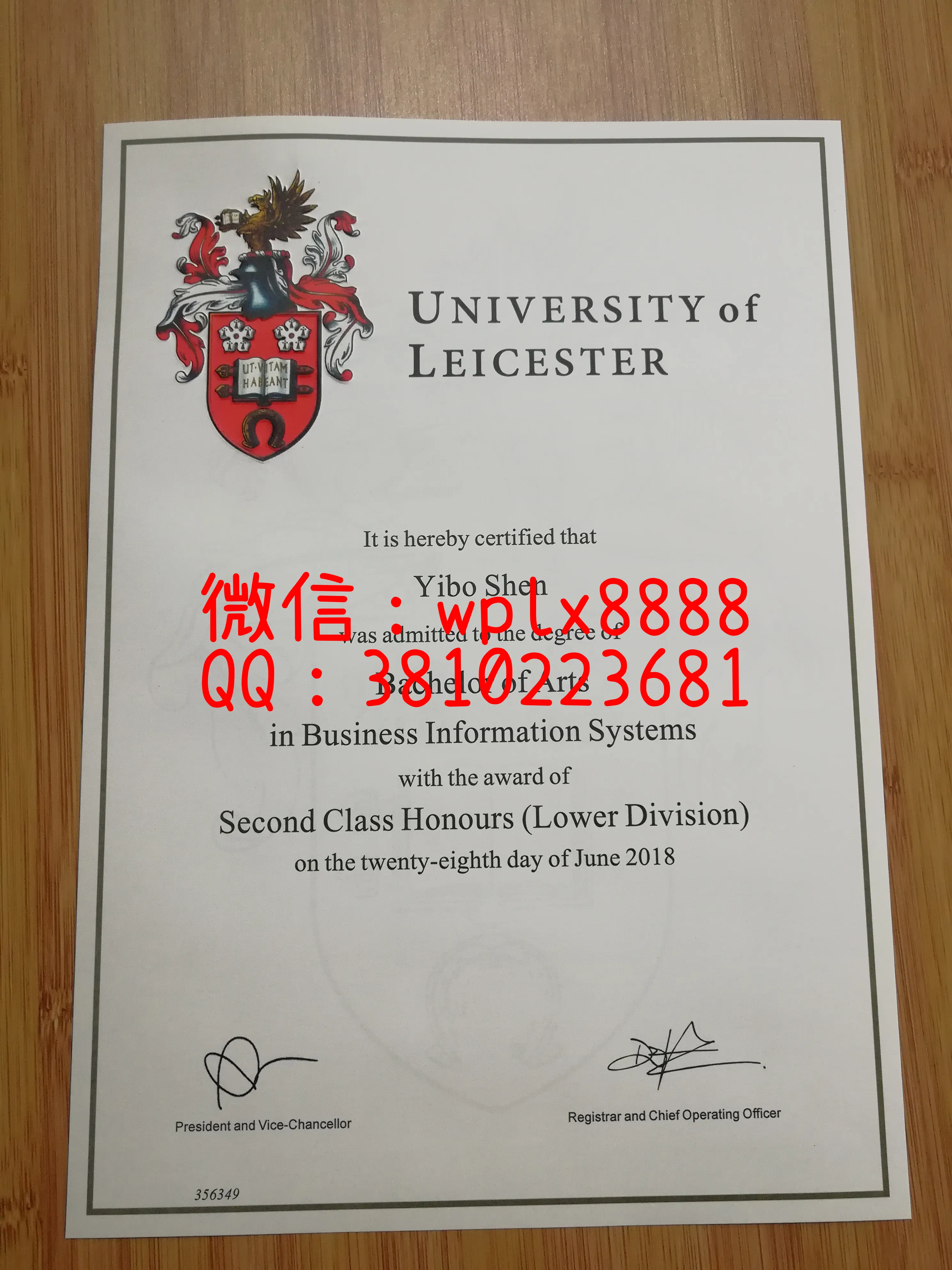 莱斯特大学