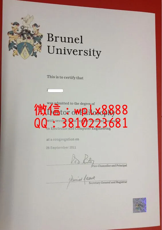 布鲁内尔大学