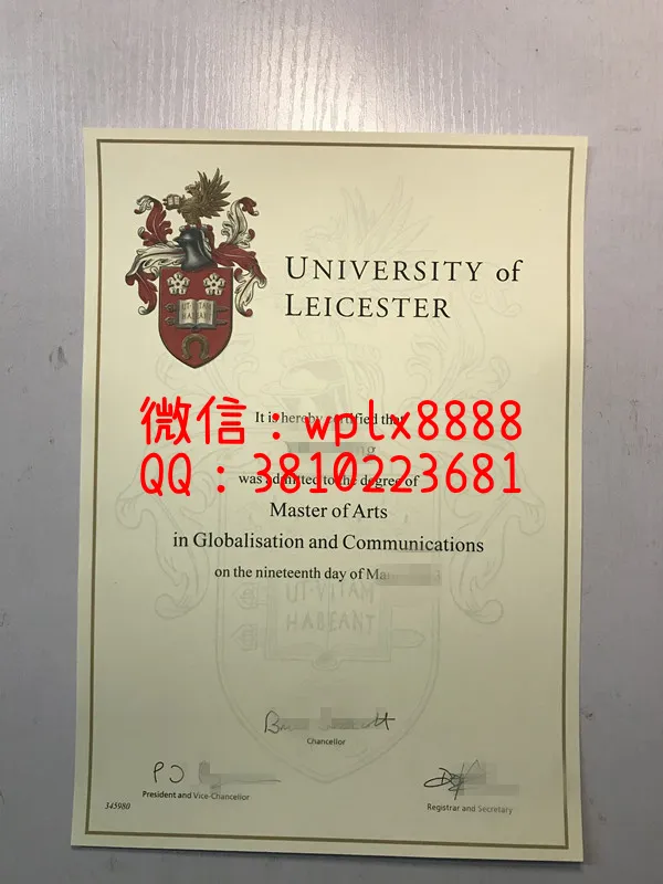 莱斯特大学