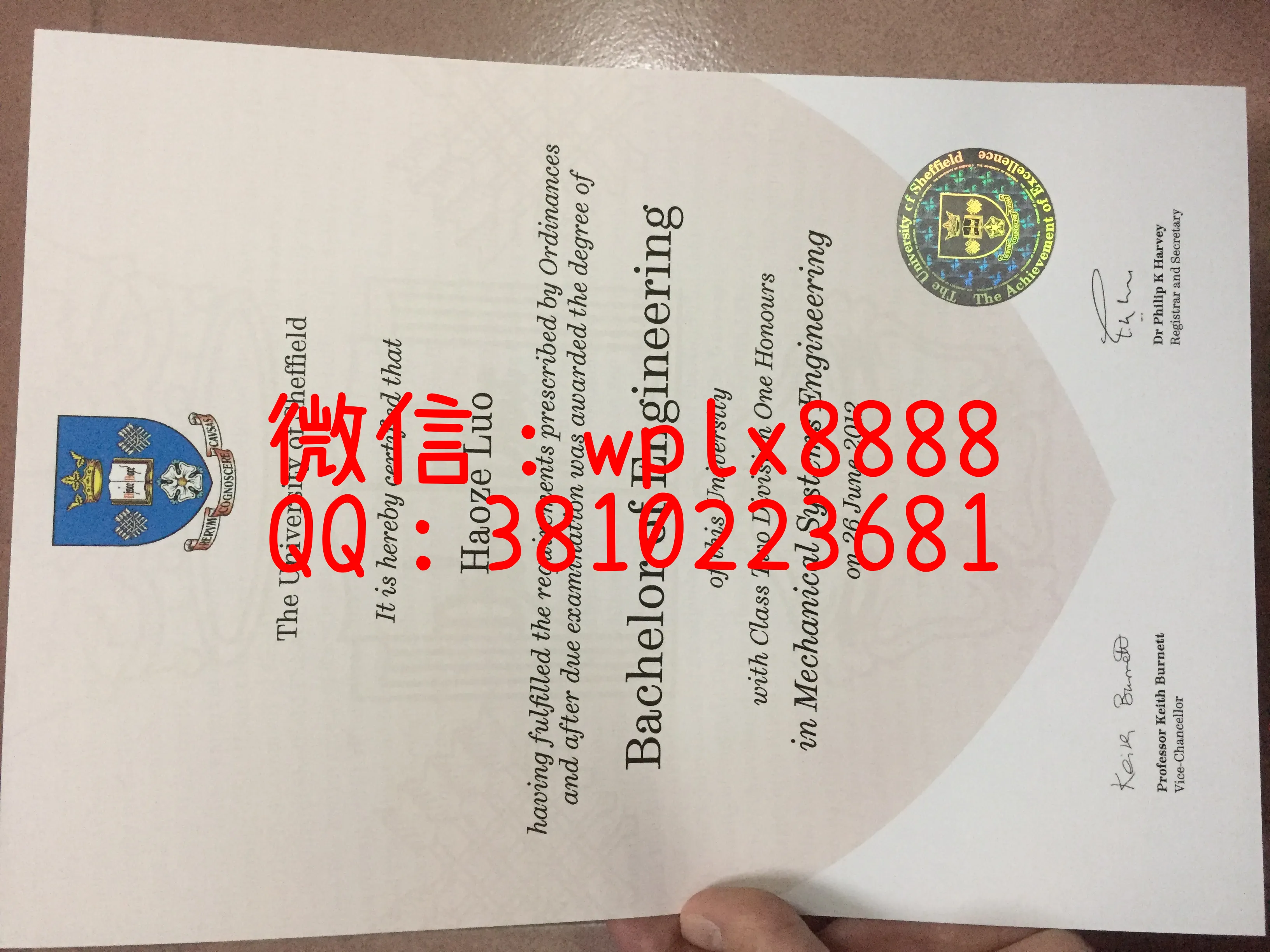 谢菲尔德大学