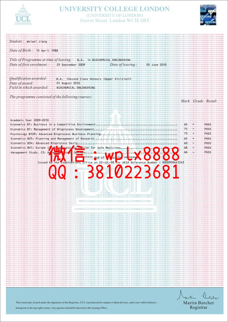 伦敦学院大学