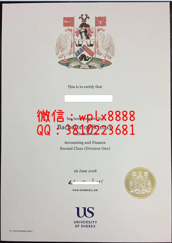 萨塞克斯大学