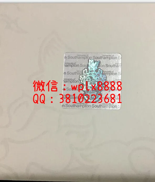 南安普顿大学