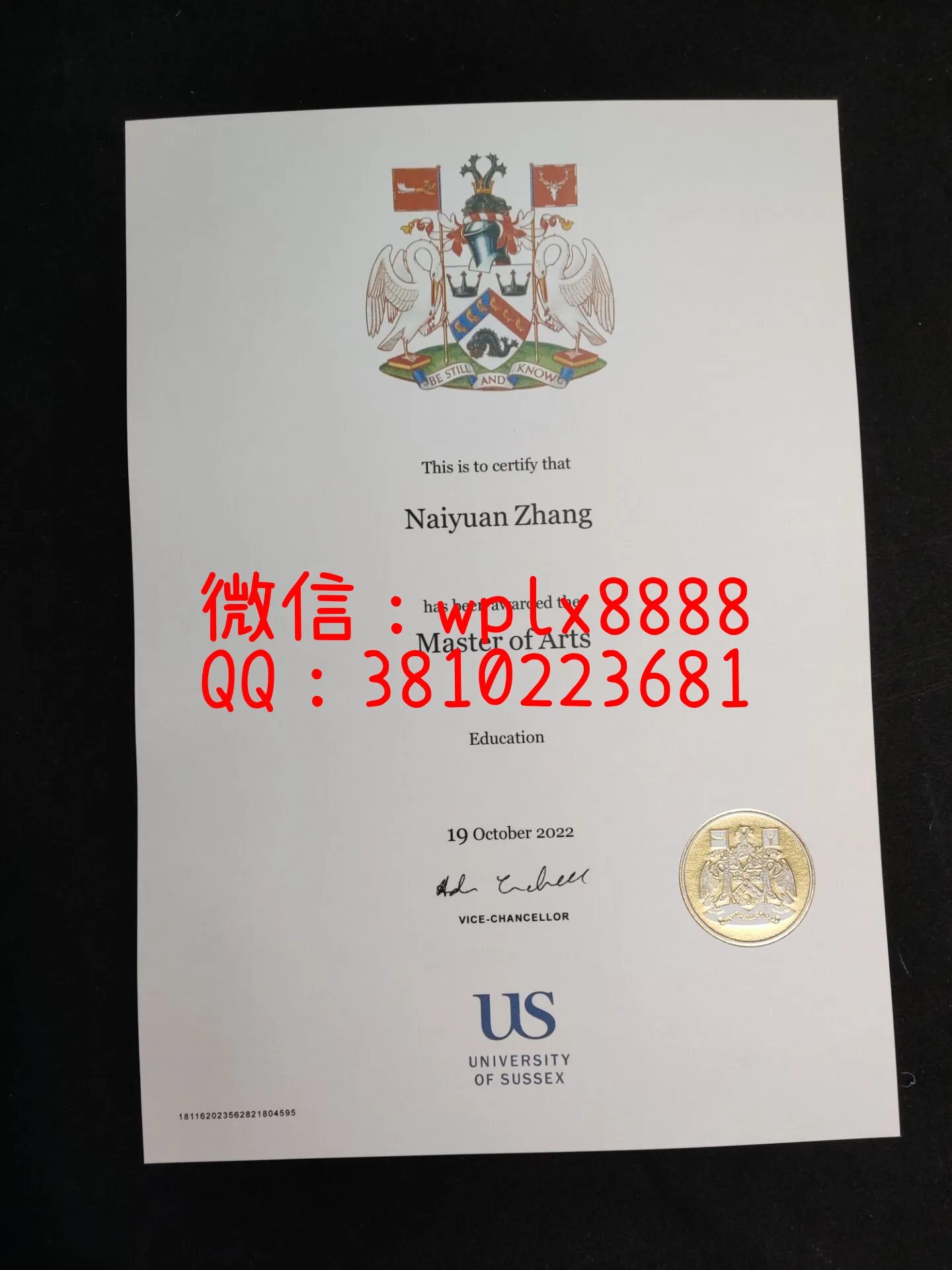 萨塞克斯大学