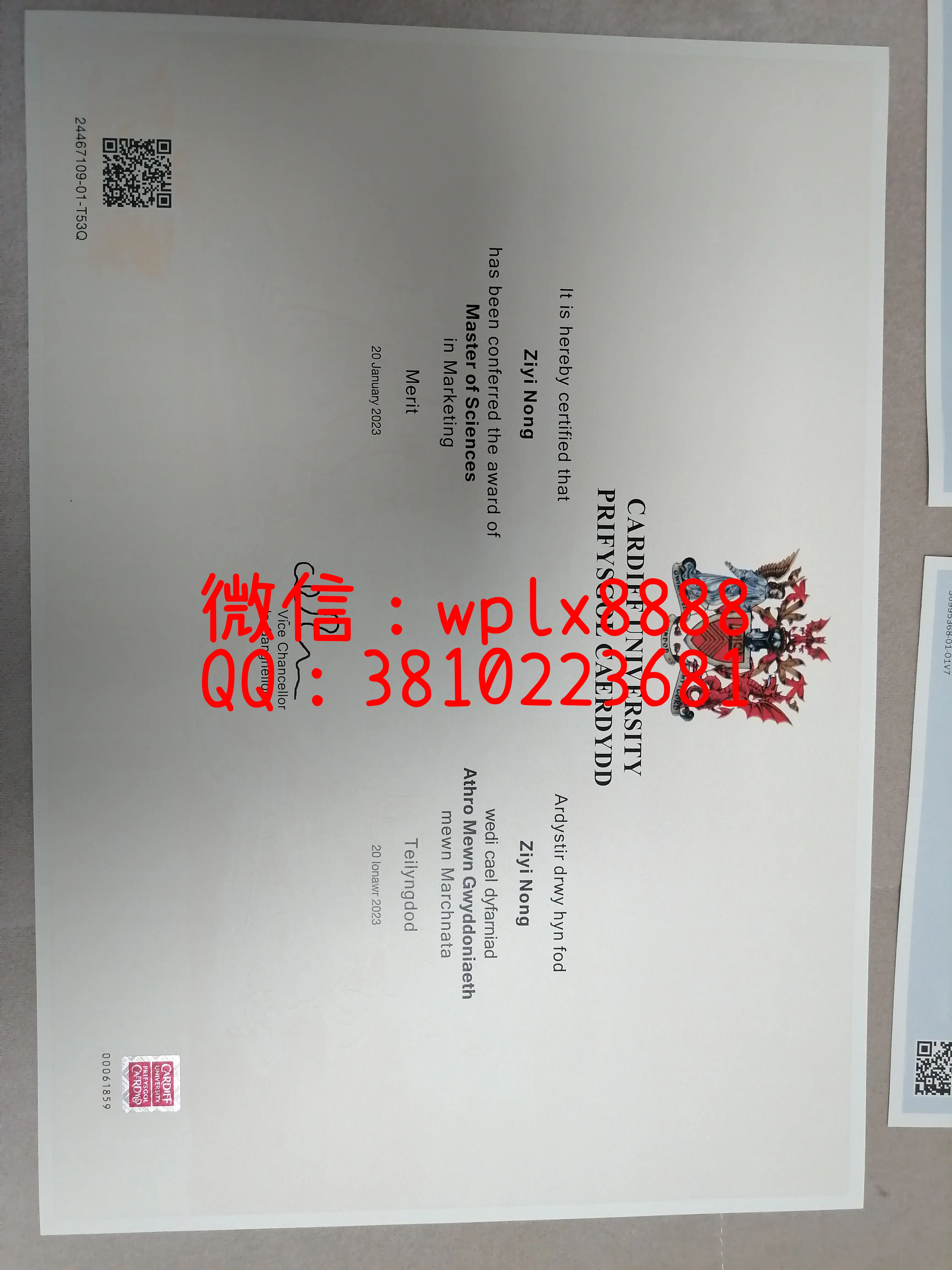 卡迪夫大学