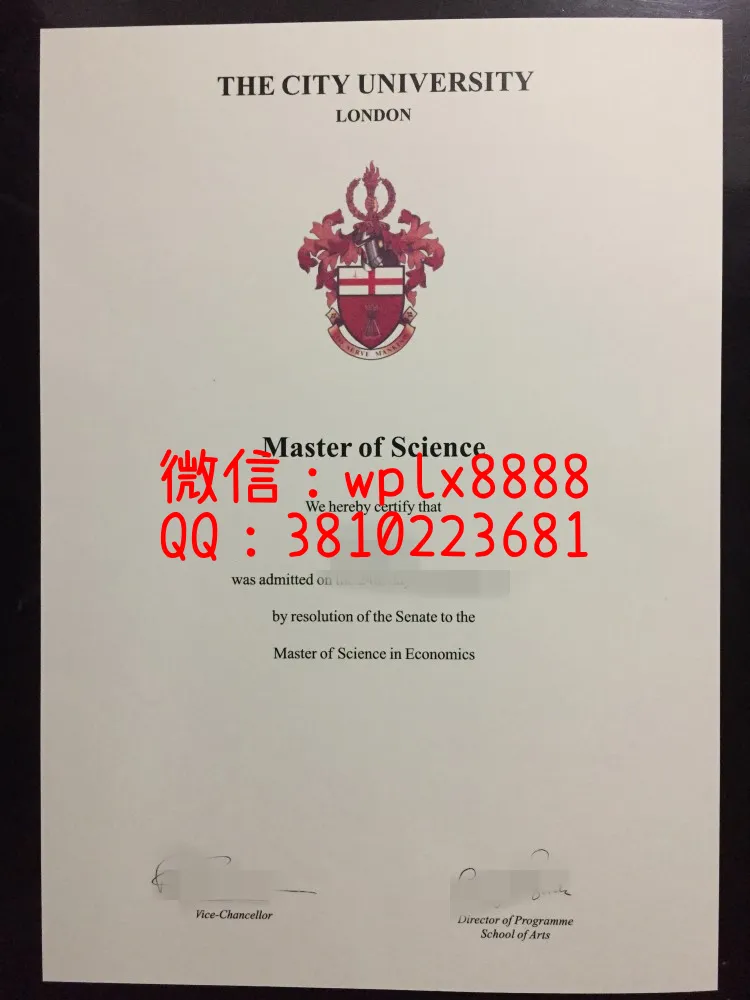伦敦城市大学
