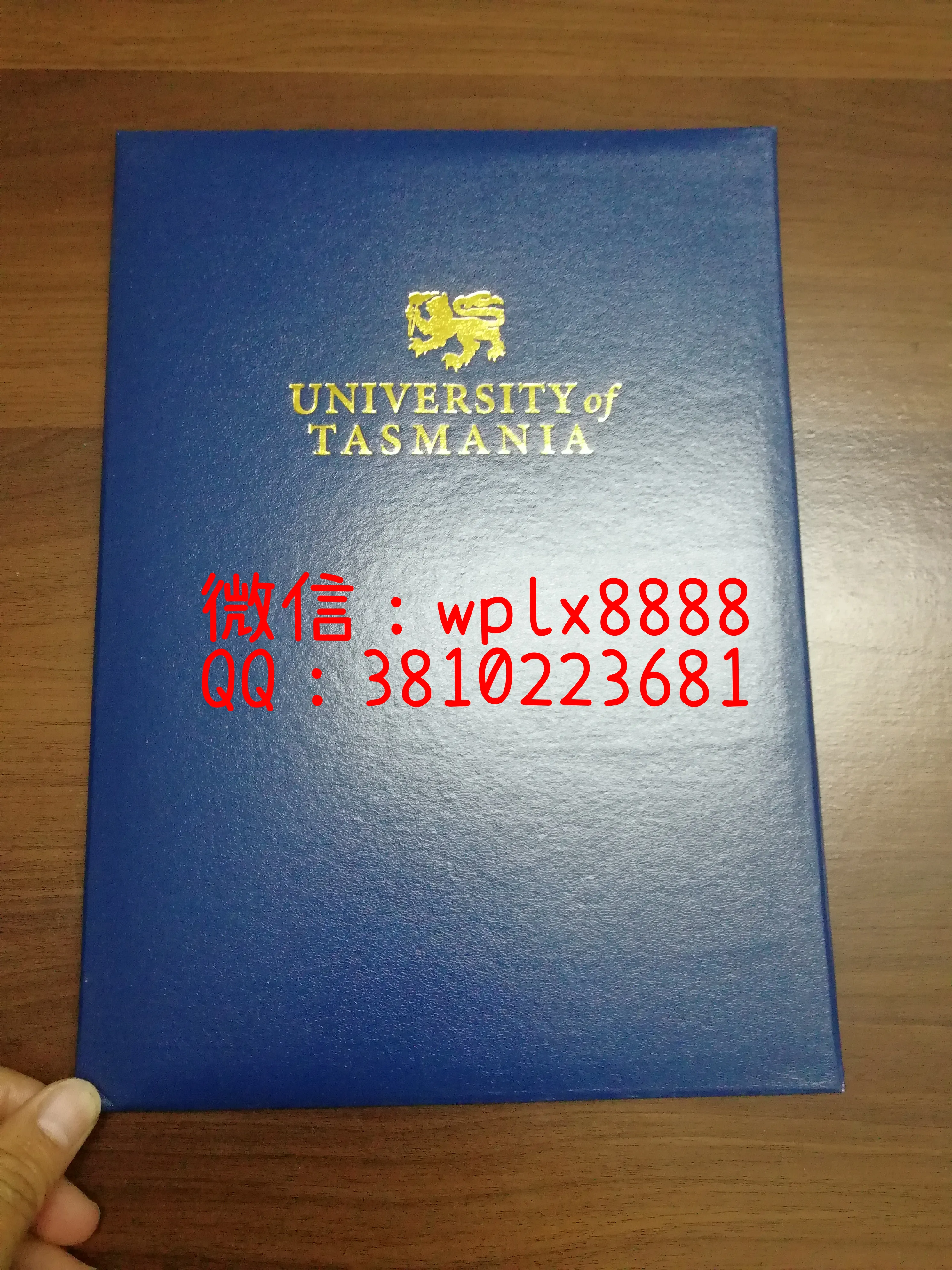 塔斯马尼亚大学