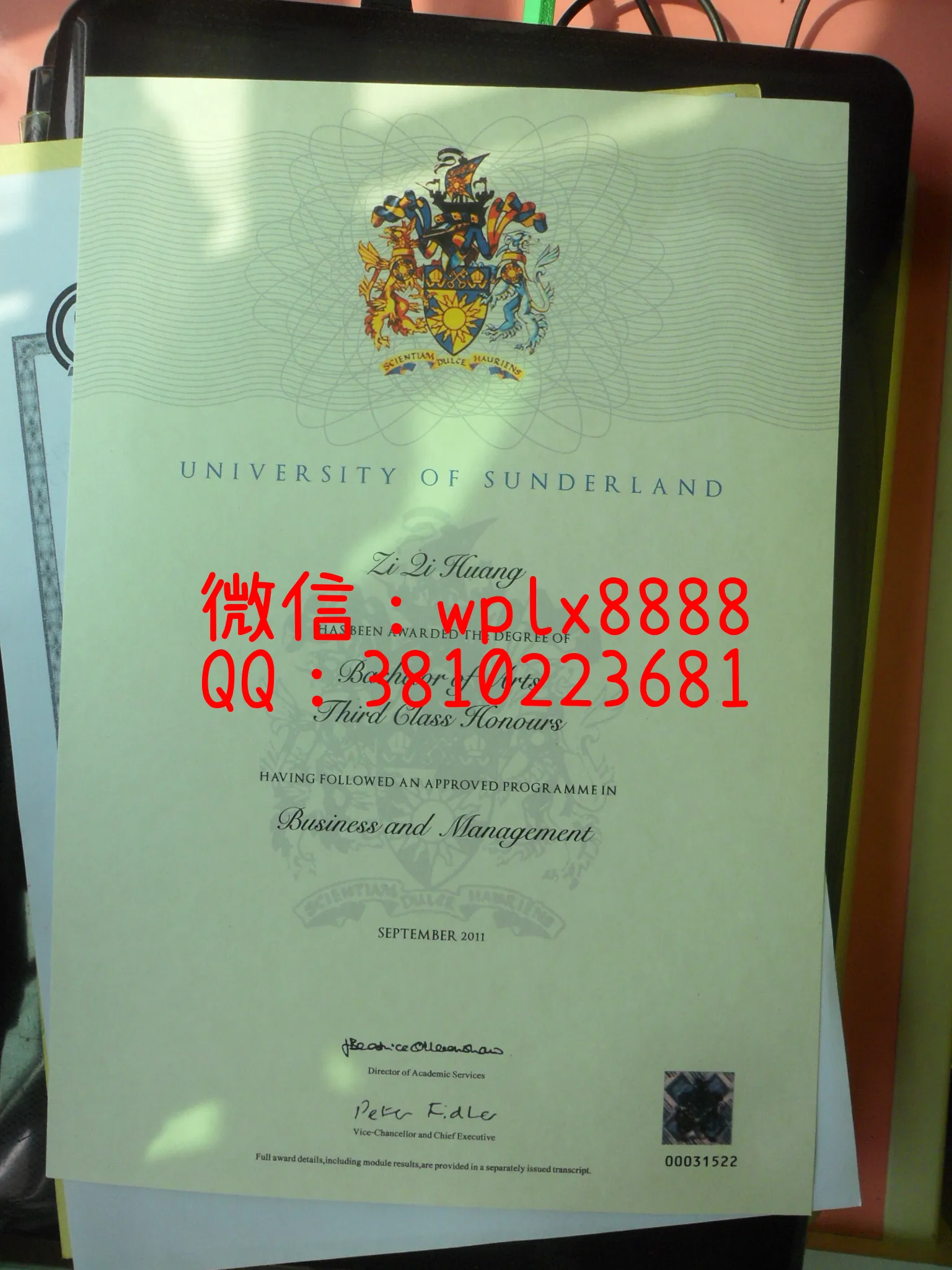 桑德兰大学