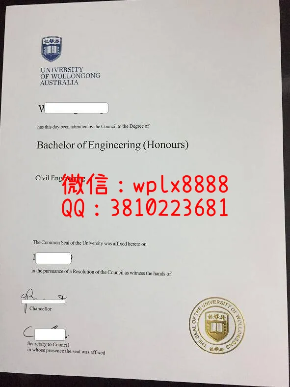 卧龙岗大学