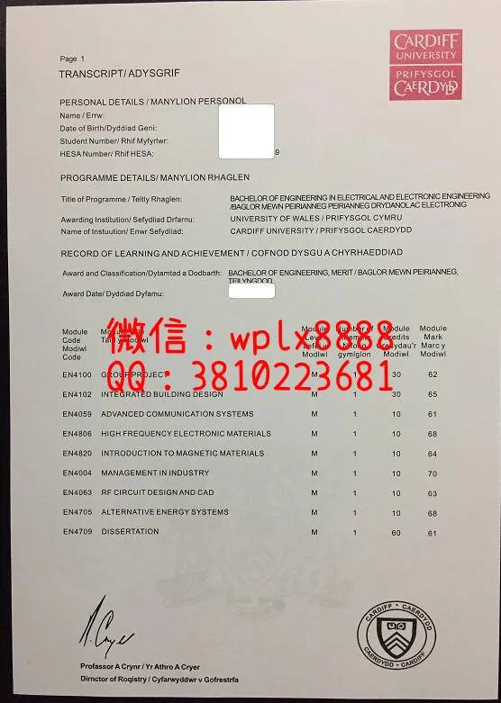 卡迪夫大学