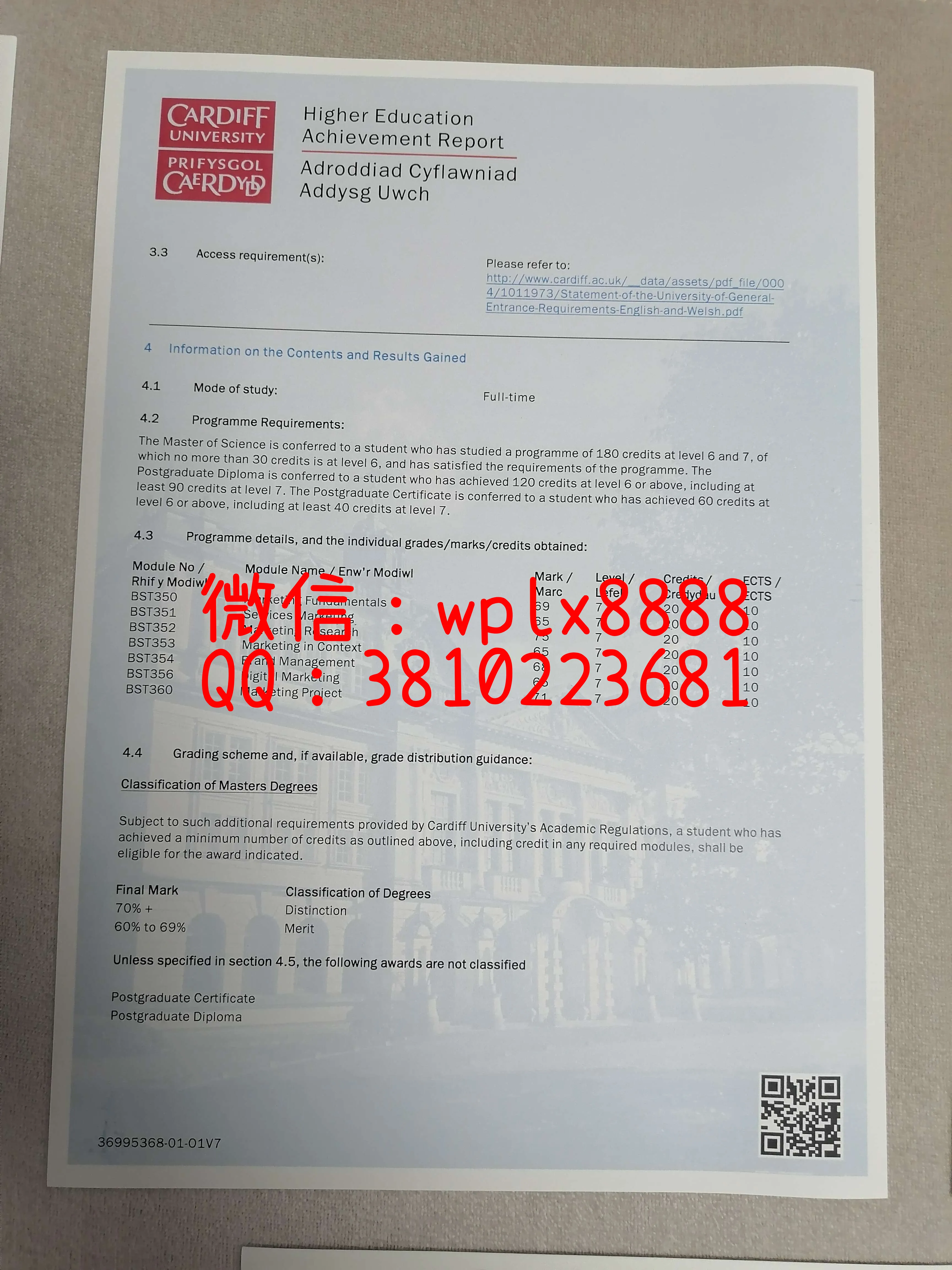 卡迪夫大学