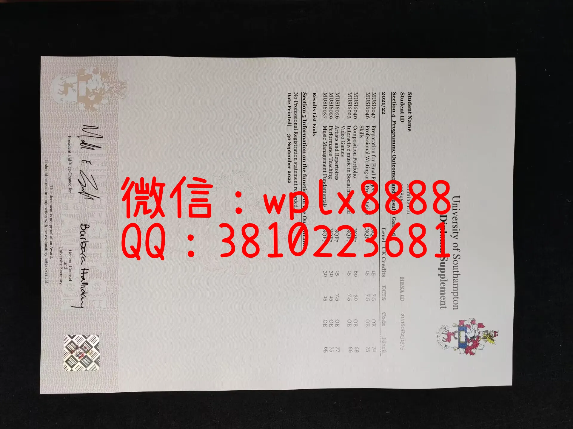 南安普顿大学