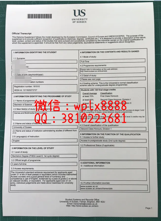 萨塞克斯大学