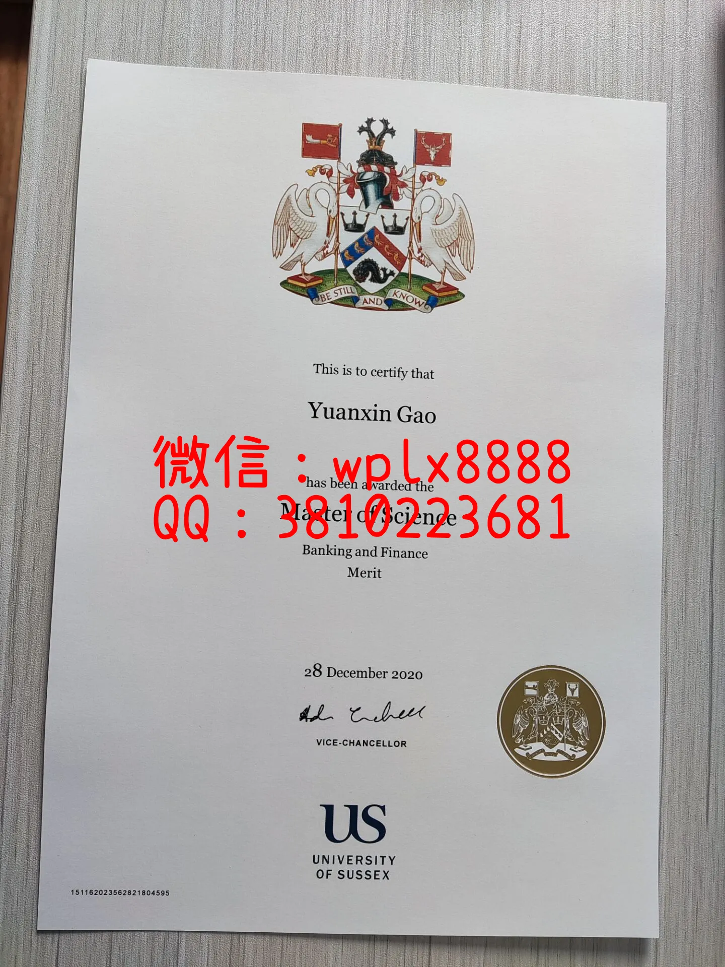萨塞克斯大学