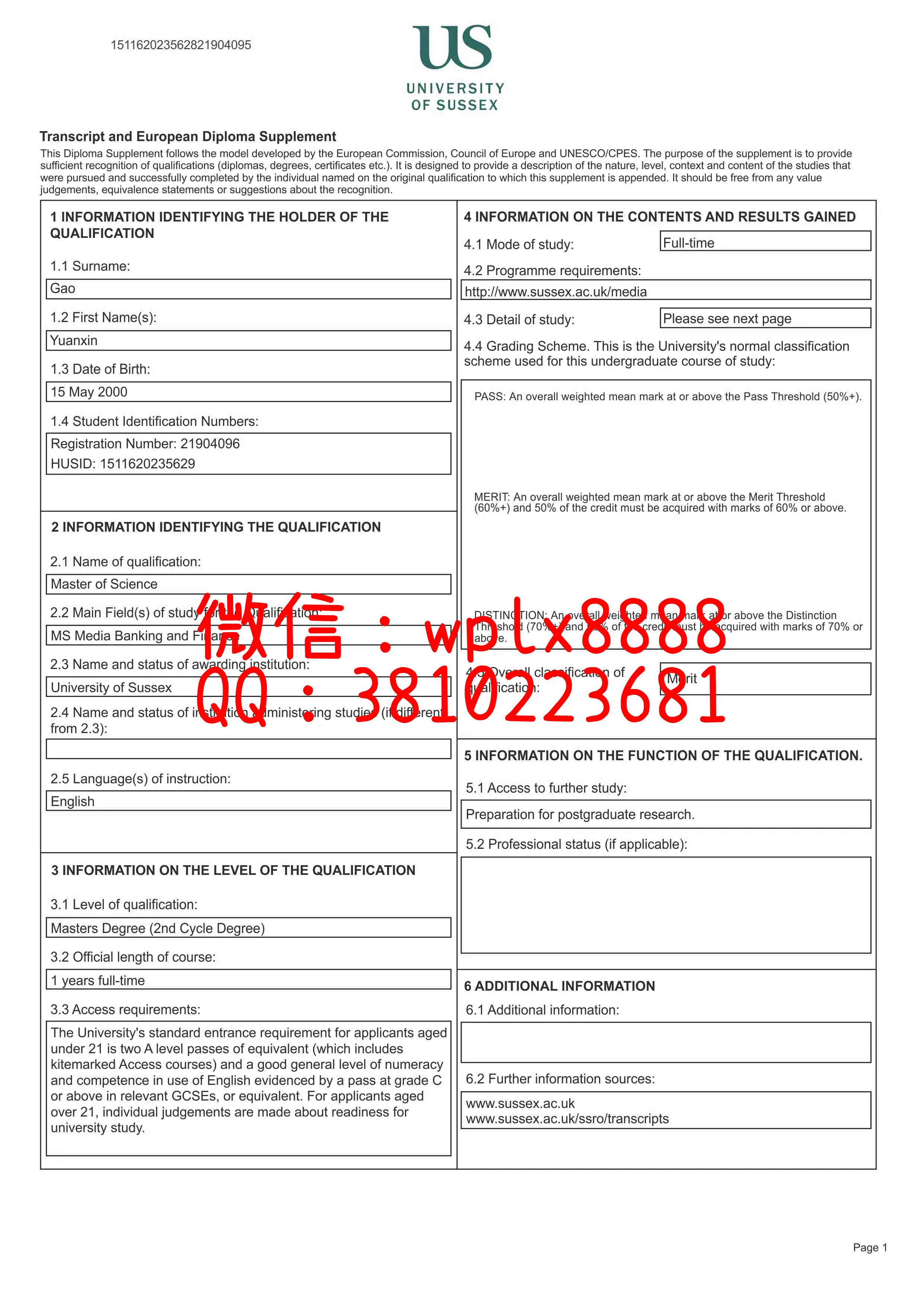 萨塞克斯大学
