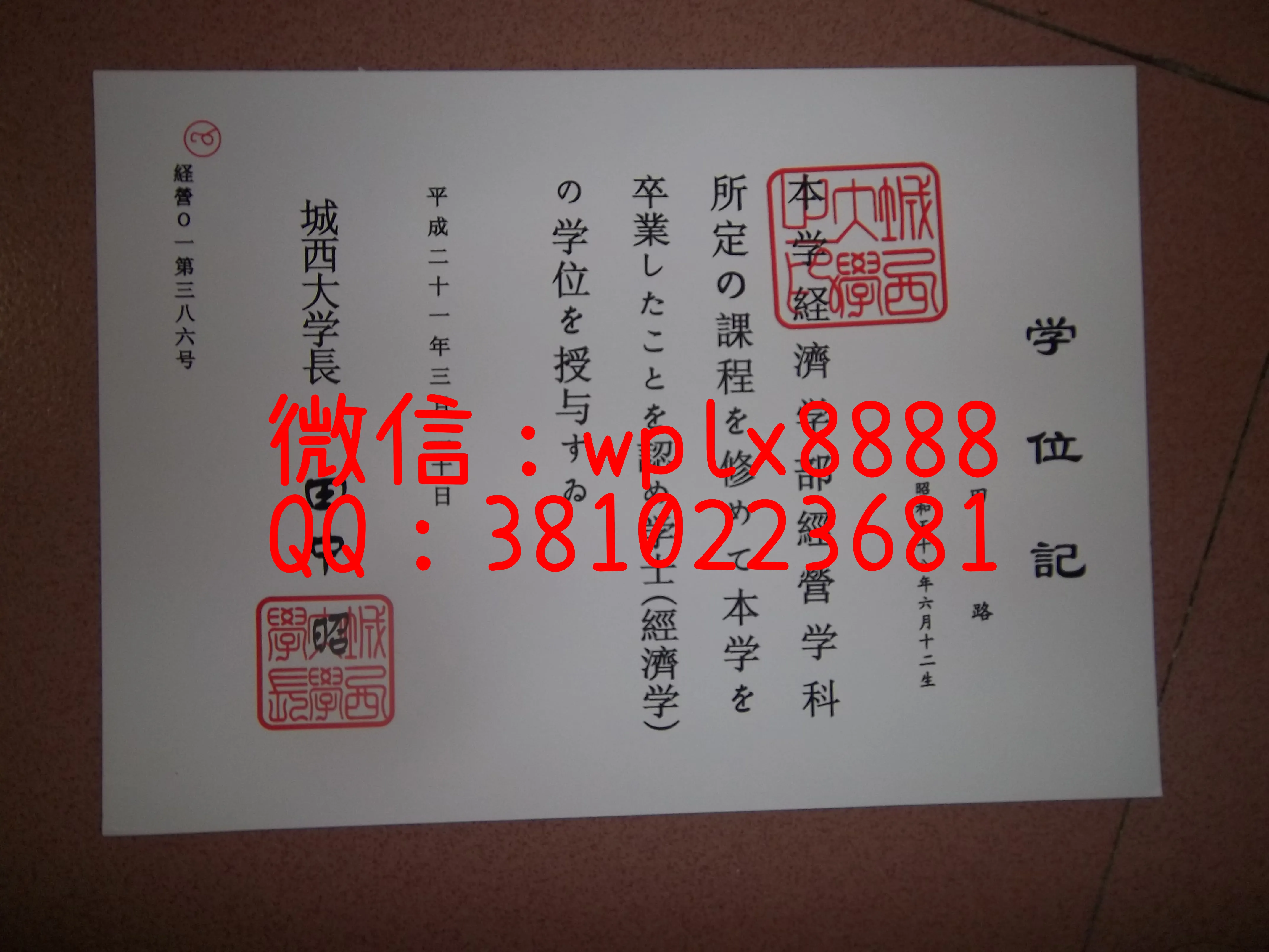 城西大学