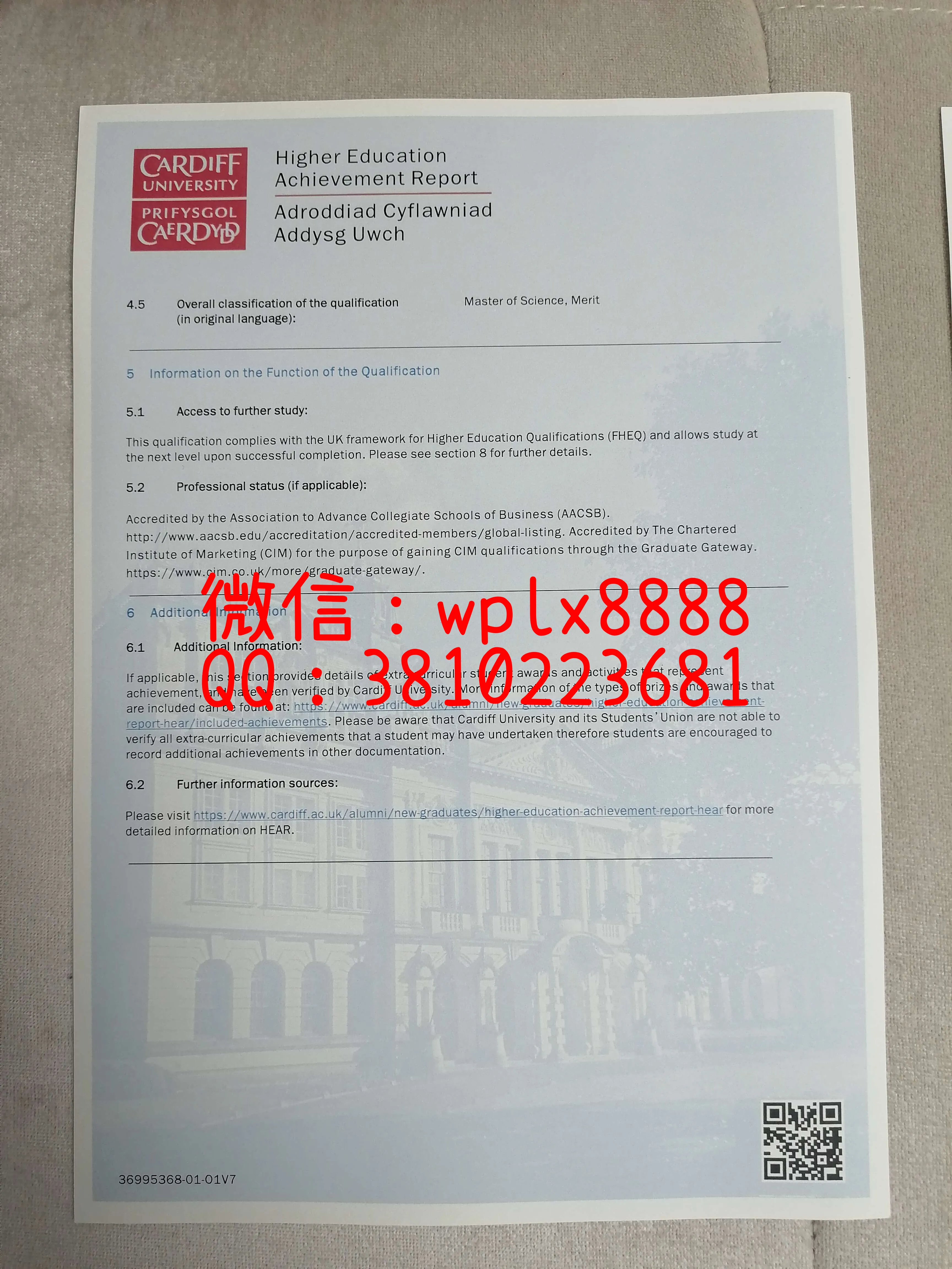 卡迪夫大学