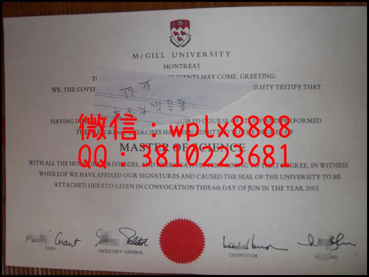 麦吉尔大学