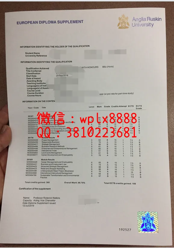 安格里亚鲁斯金大学