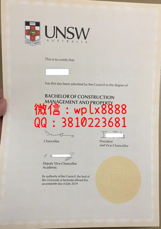新南威尔士大学