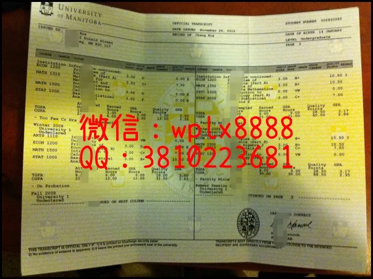 曼尼托巴大学
