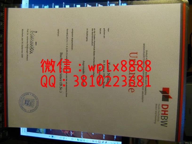 巴登符腾堡双元制应用技术大学