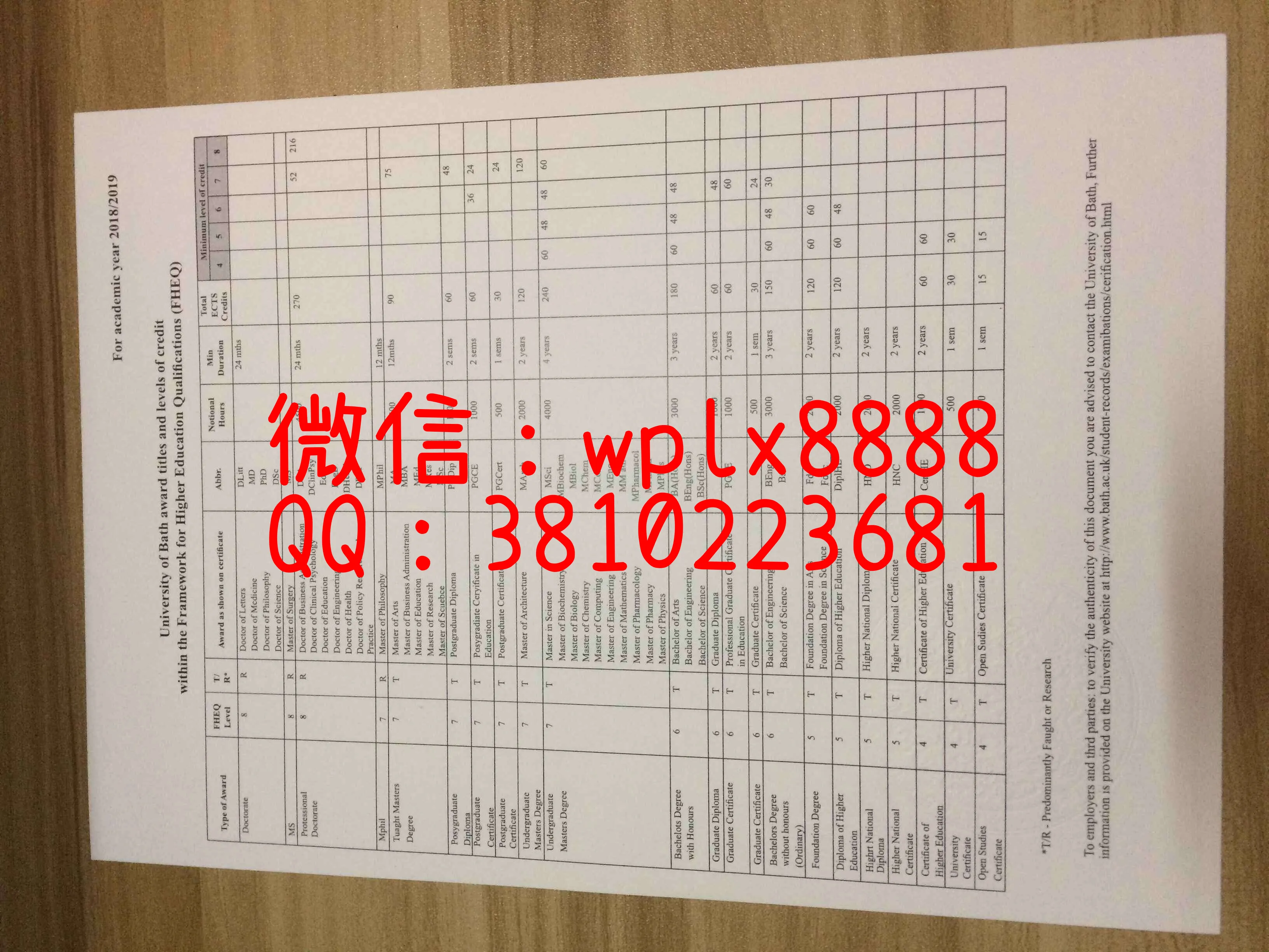 巴斯大学