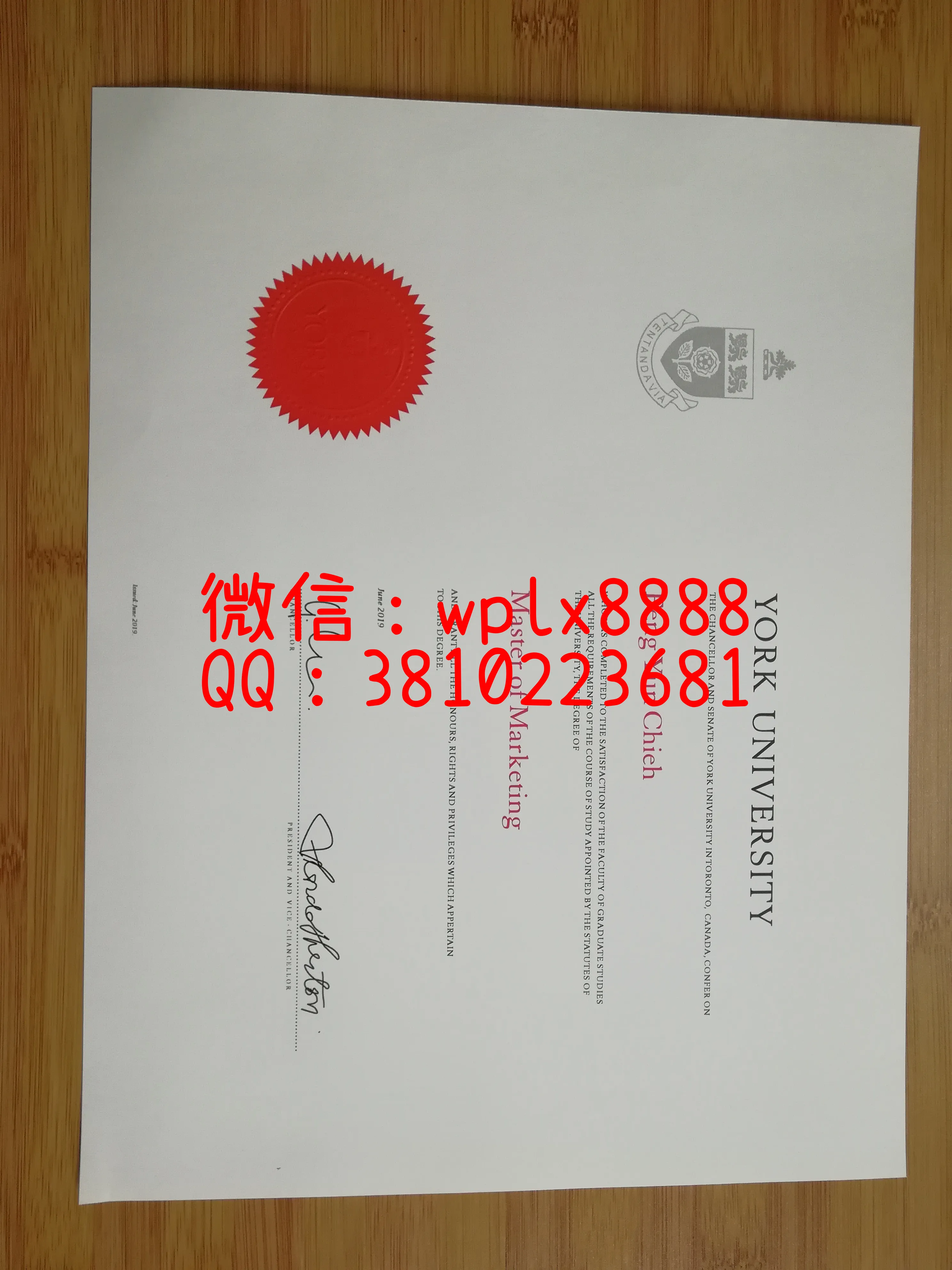 约克大学