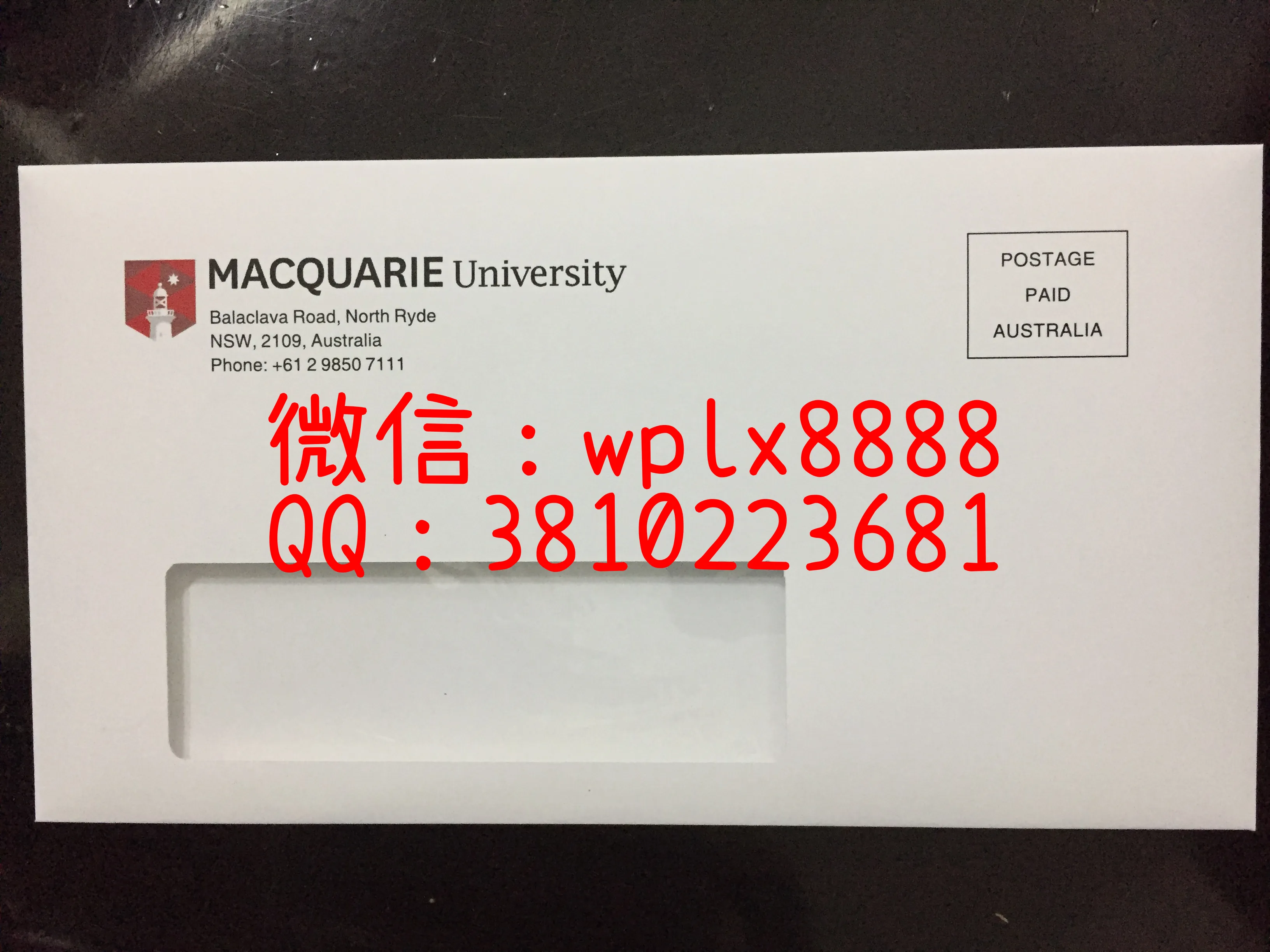 麦考瑞大学
