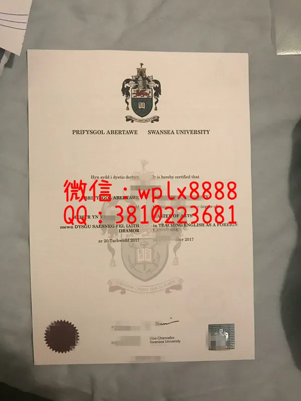 斯旺西大学