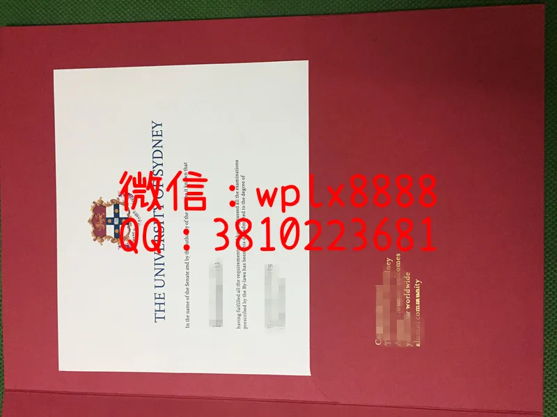 悉尼大学