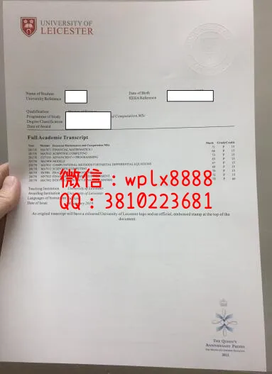 莱斯特大学